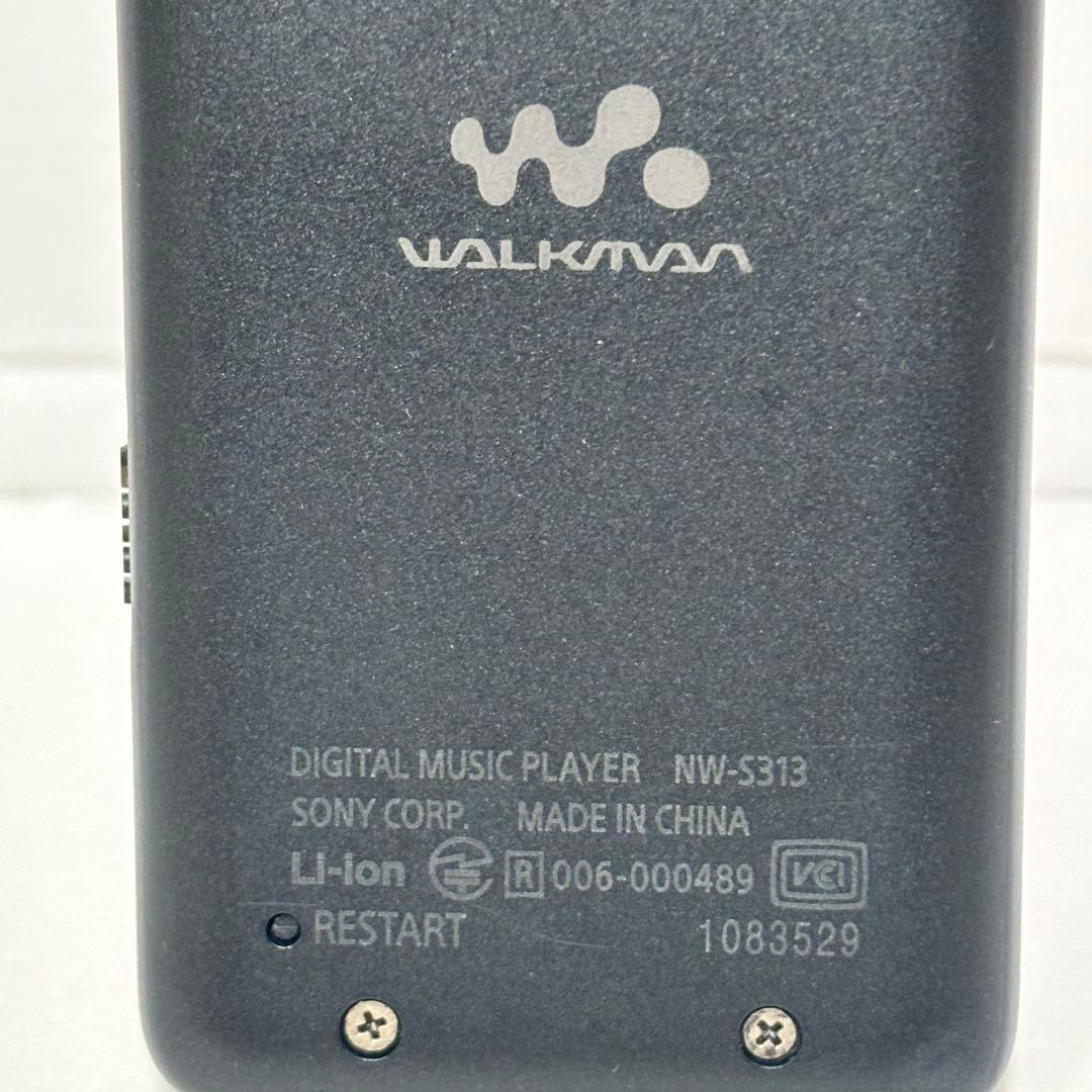 Sony Digital Audio Players Walkman Nw-S313