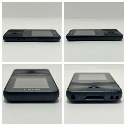 Sony Digital Audio Players Walkman Nw-S313