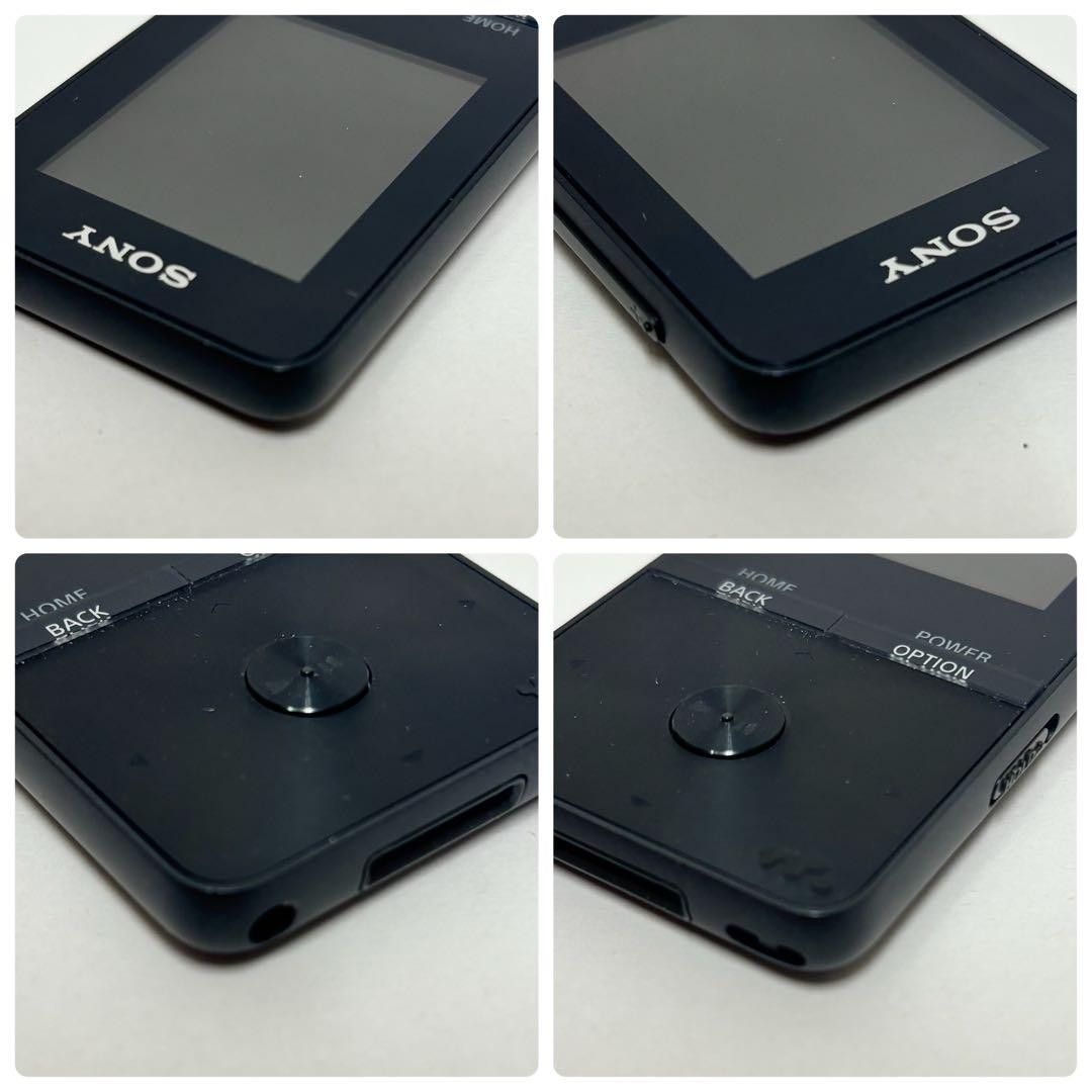 Sony Digital Audio Players Walkman Nw-S313
