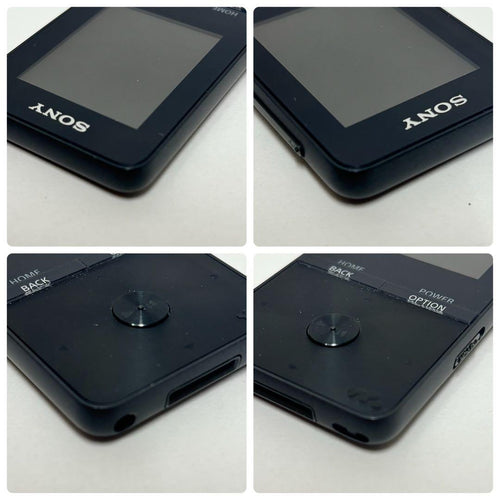 Sony Digital Audio Players Walkman Nw-S313