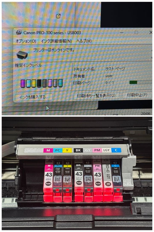 Canon Inkjet Printer Pro-100