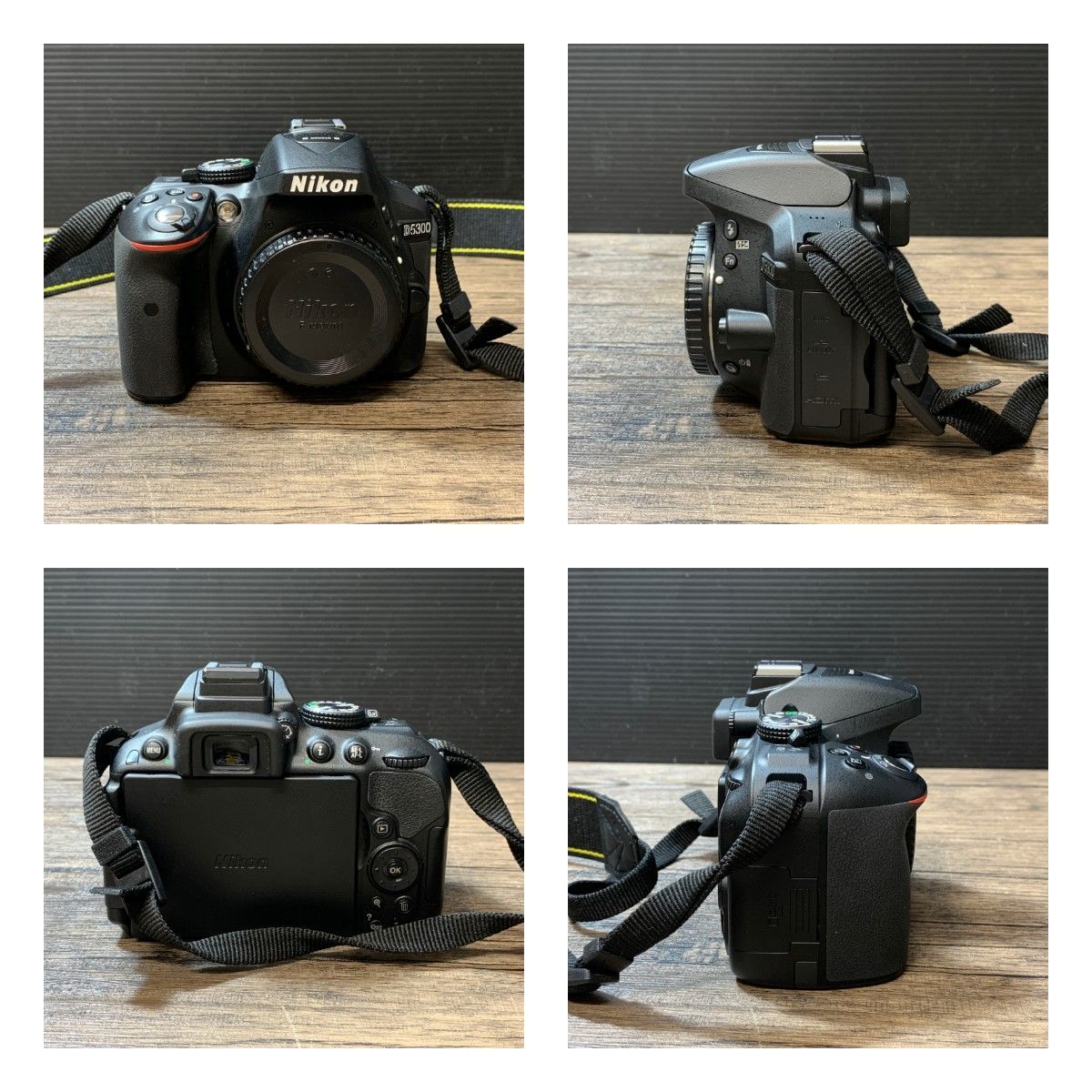 Digital Slr 64-031709] D5300 2