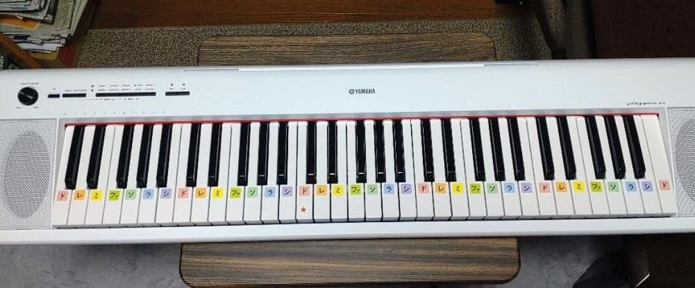 Yamaha Keyboard Electronic Piano Piaggero Np-12 61
