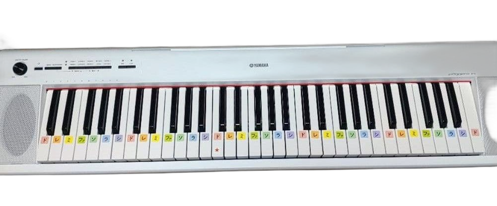 Yamaha Keyboard Electronic Piano Piaggero Np-12 61