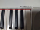 Yamaha Keyboard Electronic Piano Piaggero Np-12 61
