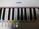 Yamaha Keyboard Electronic Piano Piaggero Np-12 61