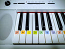 Yamaha Keyboard Electronic Piano Piaggero Np-12 61
