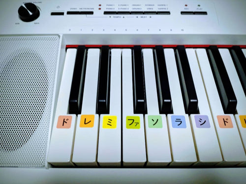 Yamaha Keyboard Electronic Piano Piaggero Np-12 61