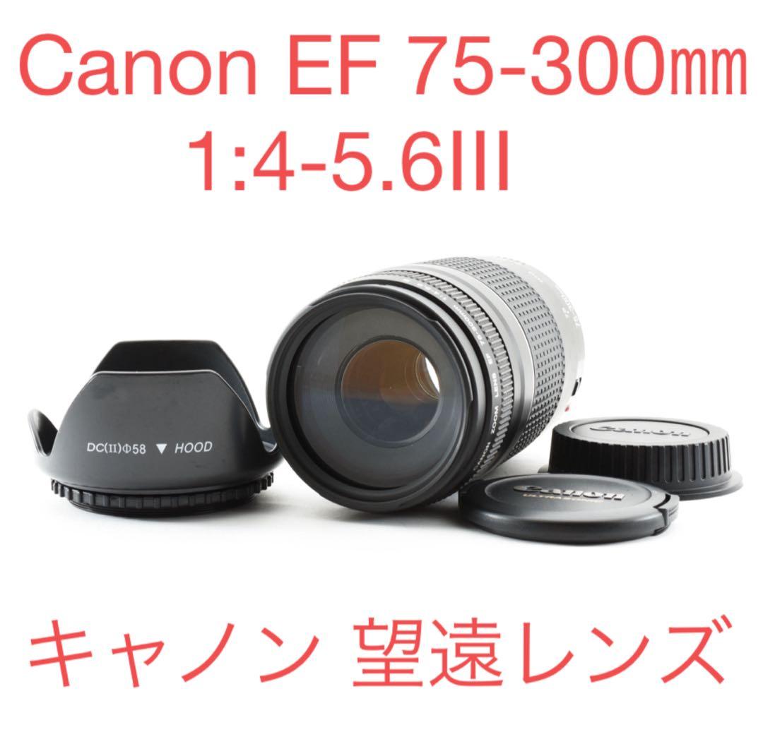 Canon Lens (Zoom) Ef 75-300 1:4-5.6