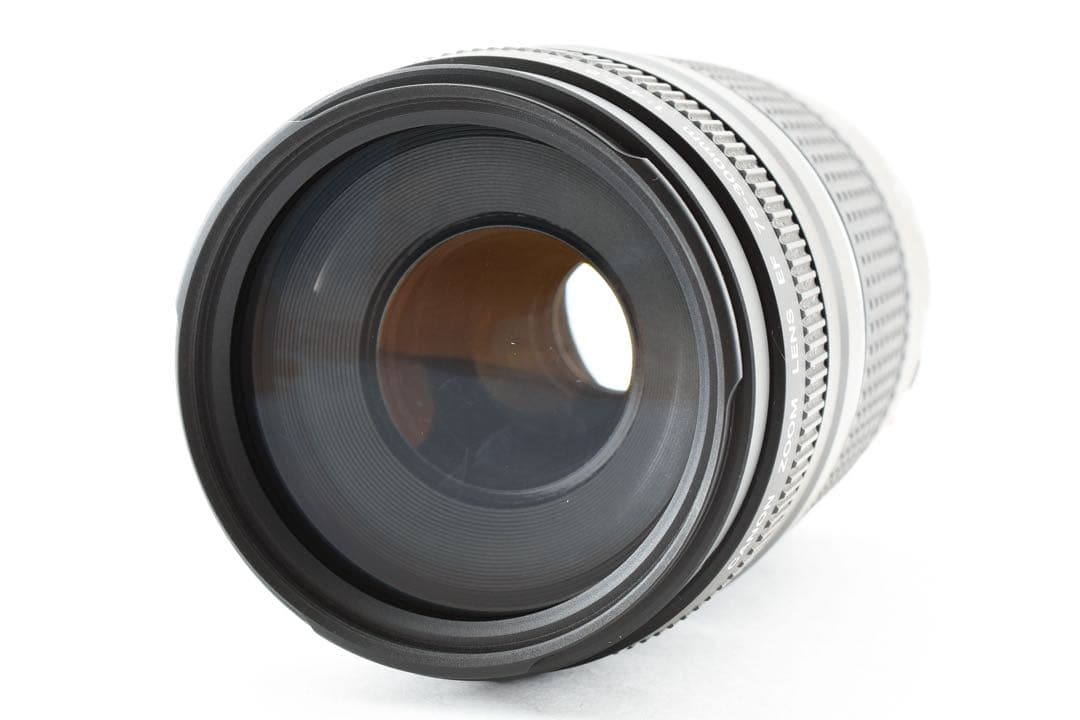 Canon Lens (Zoom) Ef 75-300 1:4-5.6