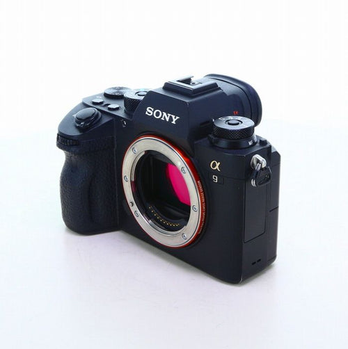 Sony Others 9 [Ilce-9]