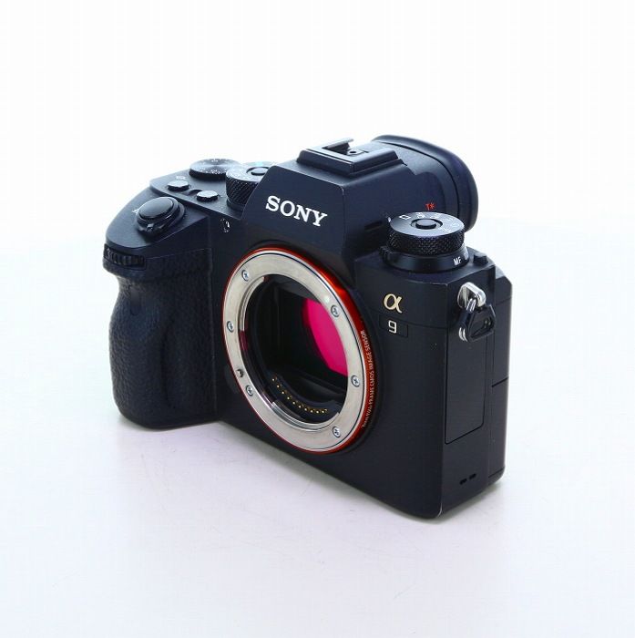 Sony Others 9 [Ilce-9]