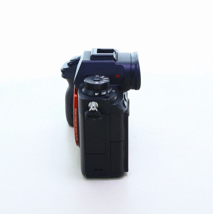 Sony Others 9 [Ilce-9]