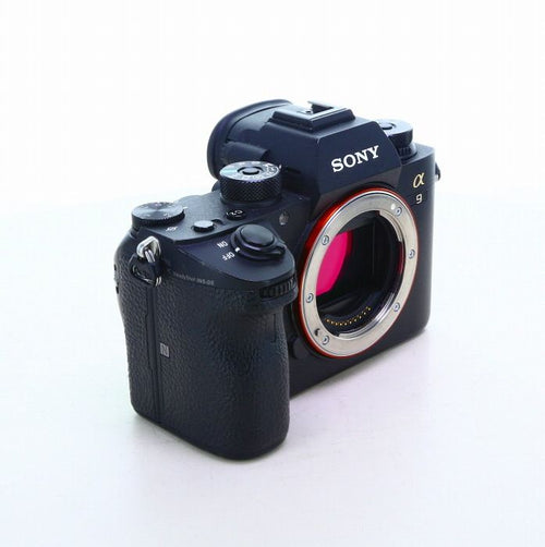 Sony Others 9 [Ilce-9]