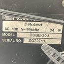 Others Roland Cube-30 30W T11161340