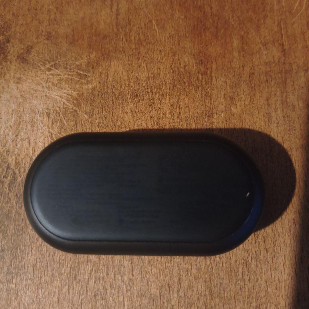 Bang Olufsen Wireless Earphones