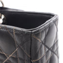 Christian Dior Handbag