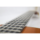 Yamaha Acoustic Guitar