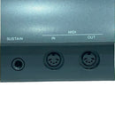 Yamaha Others Np-31 Piaggero