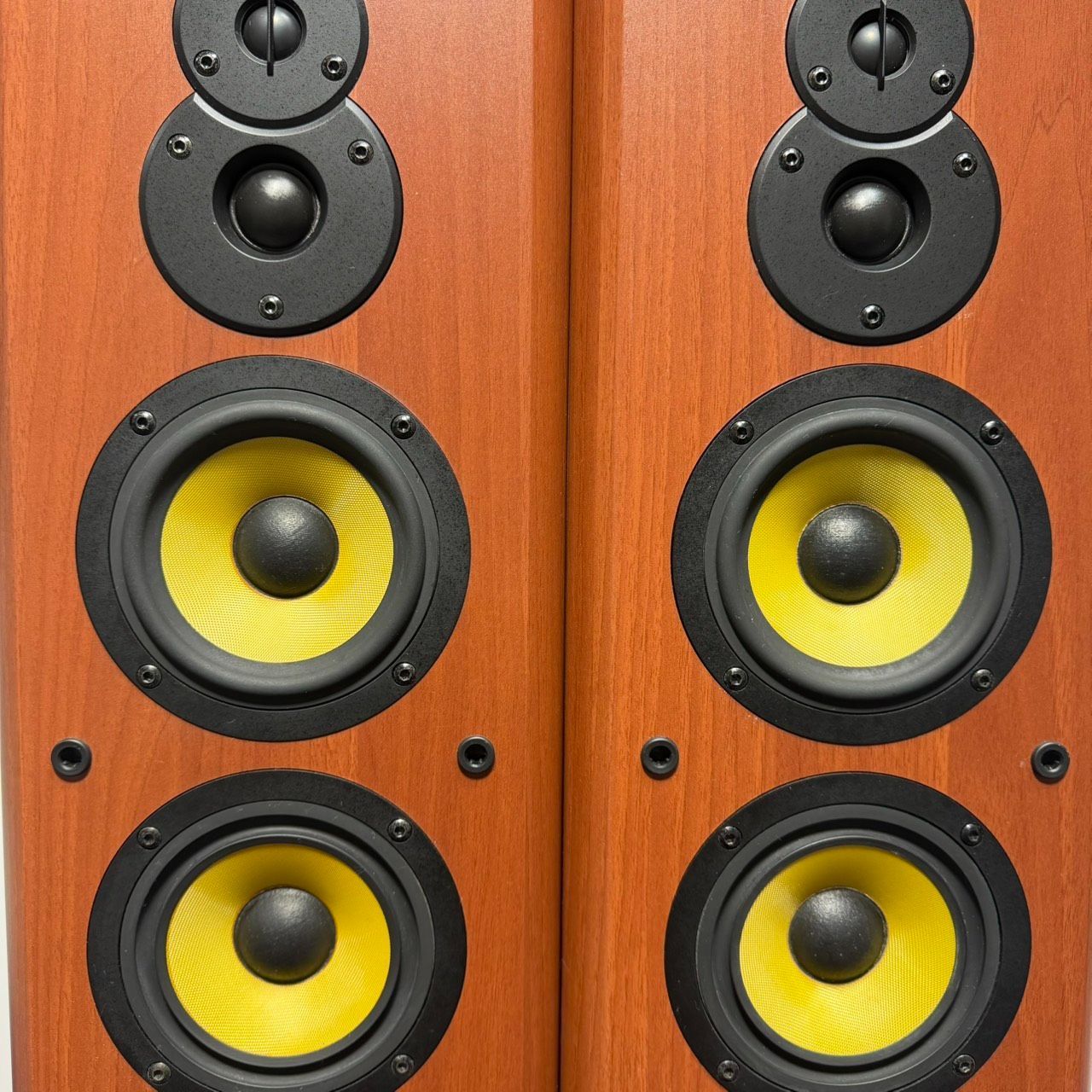 Denon Speaker A Sc-T555Sa M