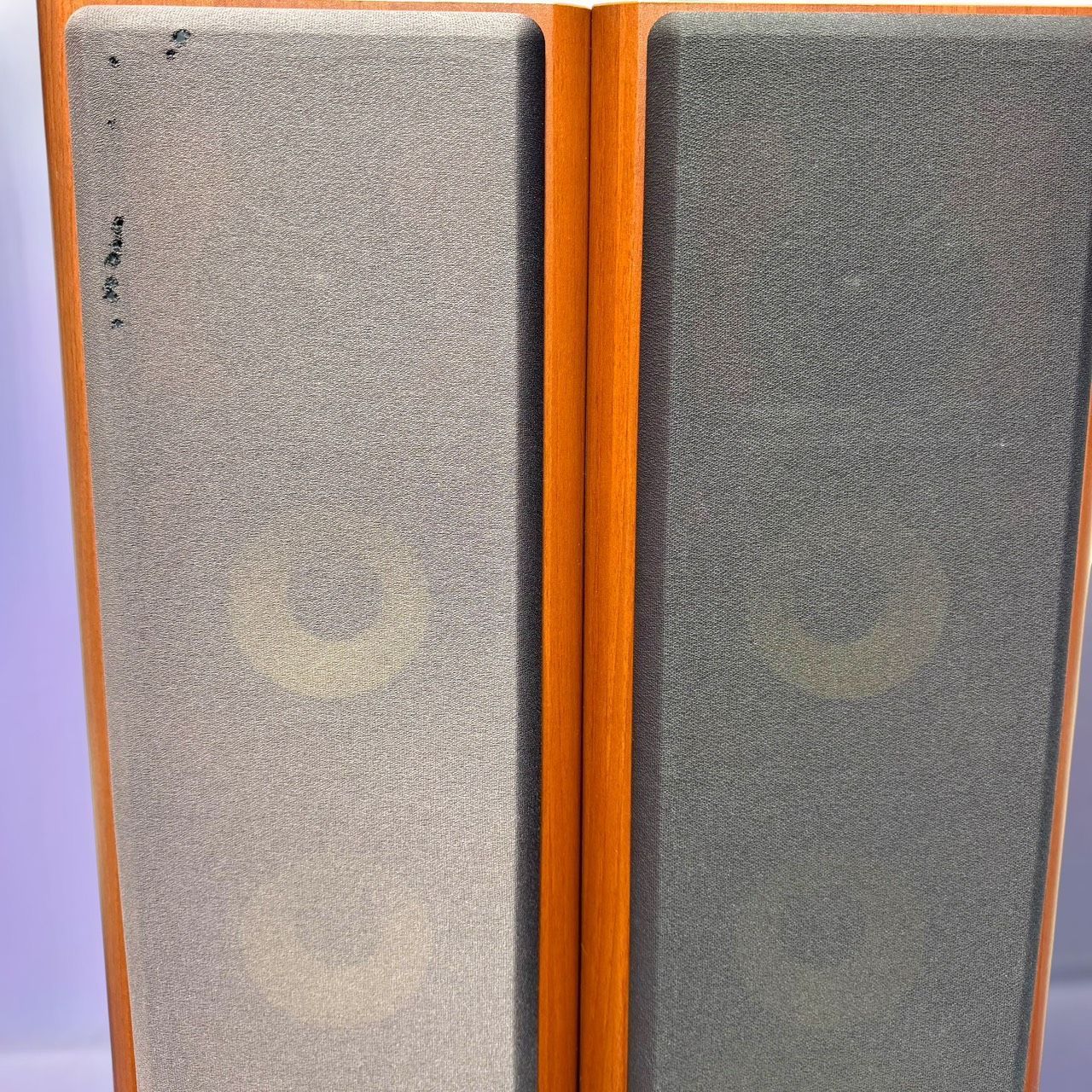 Denon Speaker A Sc-T555Sa M