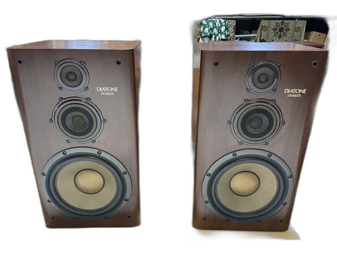 Speaker Diatone Ds-800Zx