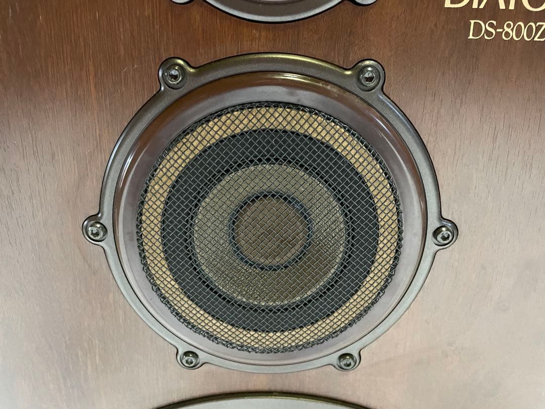 Speaker Diatone Ds-800Zx