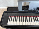 Yamaha Keyboards Digital Pianos Piaggero Np-12