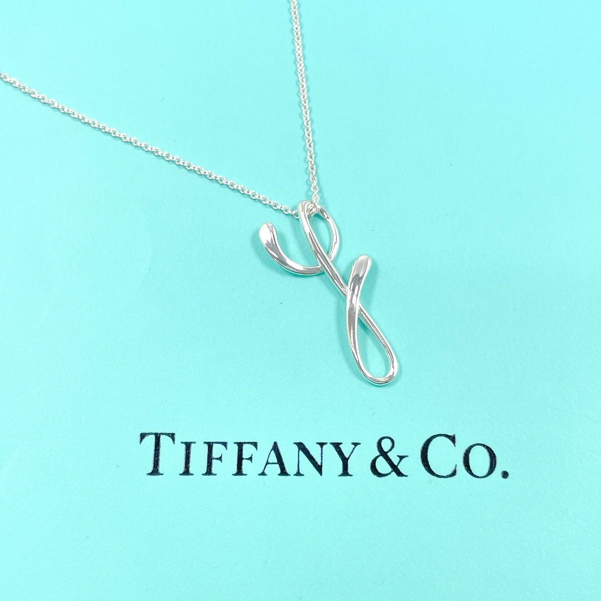 Tiffany Necklace Y