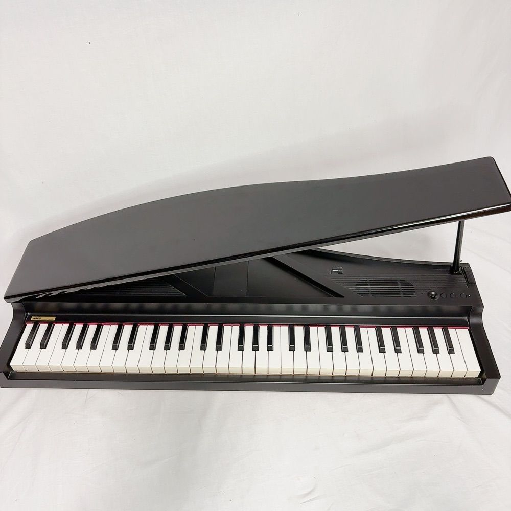 Korg Keyboard Electronic Piano Micropiano