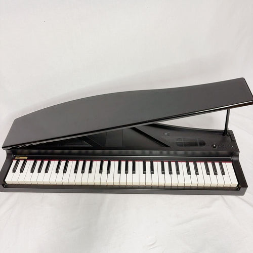 Korg Keyboard Electronic Piano Micropiano