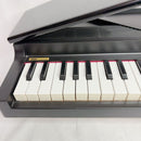 Korg Keyboard Electronic Piano Micropiano