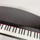 Korg Keyboard Electronic Piano Micropiano