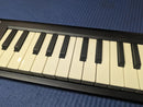 Korg Midi Keyboard Pad Microkey-25
