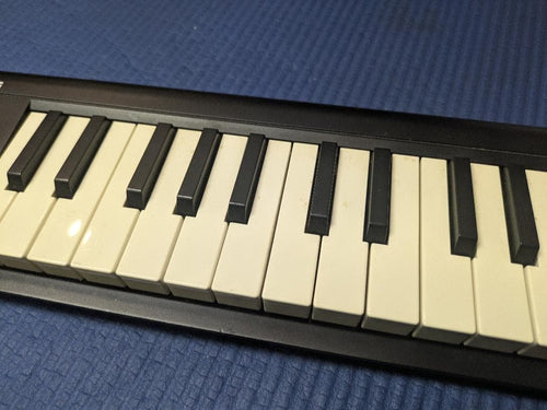 Korg Midi Keyboard Pad Microkey-25