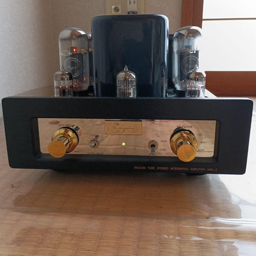 Others Mini-2