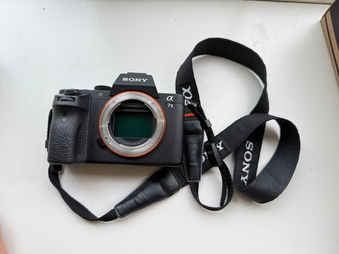 Mirrorless Interchangeable Lens Cameras Sony 7Ii