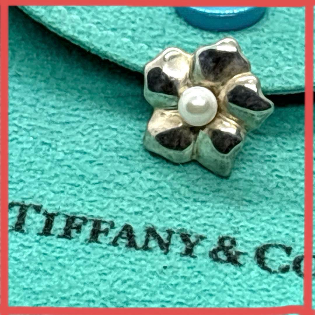 Tiffany Earrings (Single) 925