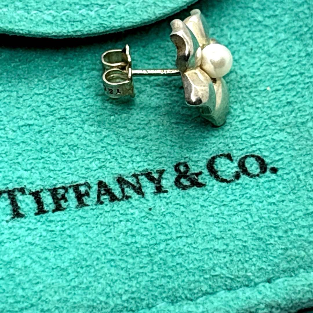 Tiffany Earrings (Single) 925