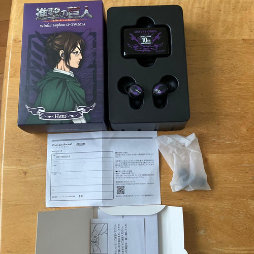 Onkyo Wireless Earphones