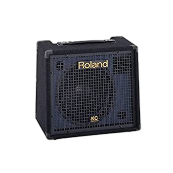 Cable Conversion Plug Roland Kc-150?| 4 65