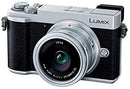 Digital Slr Gx7Mk3 Dg Dc-Gx7Mk3L-S
