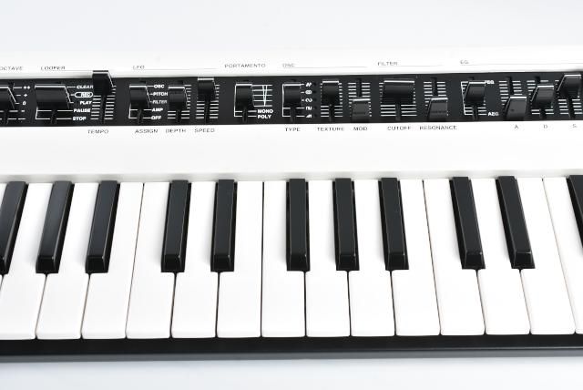 Yamaha Others Reface Cs Protection Racket