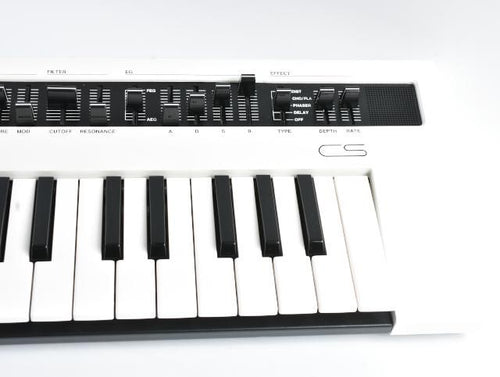 Yamaha Others Reface Cs Protection Racket