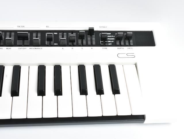 Yamaha Others Reface Cs Protection Racket