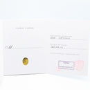 Cartier Others Wsbb0015 Used A