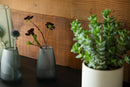 Others Kinto( Tre 65X100Mm 23943