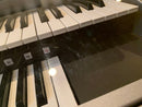 Yamaha Electronic Organ Els-02 2018