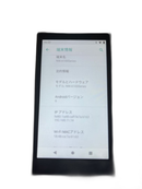 Sony Digital Audio Player Walkman Nw-A105 G