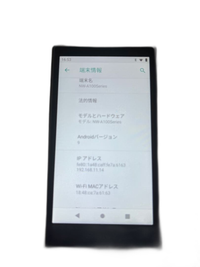 Sony Digital Audio Player Walkman Nw-A105 G